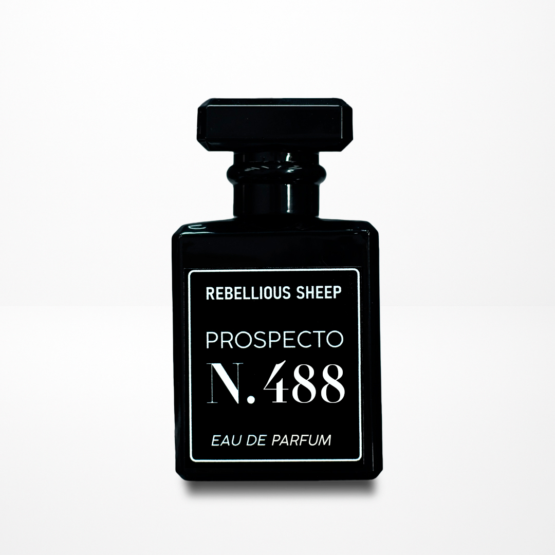 488 Prospecto Nº488