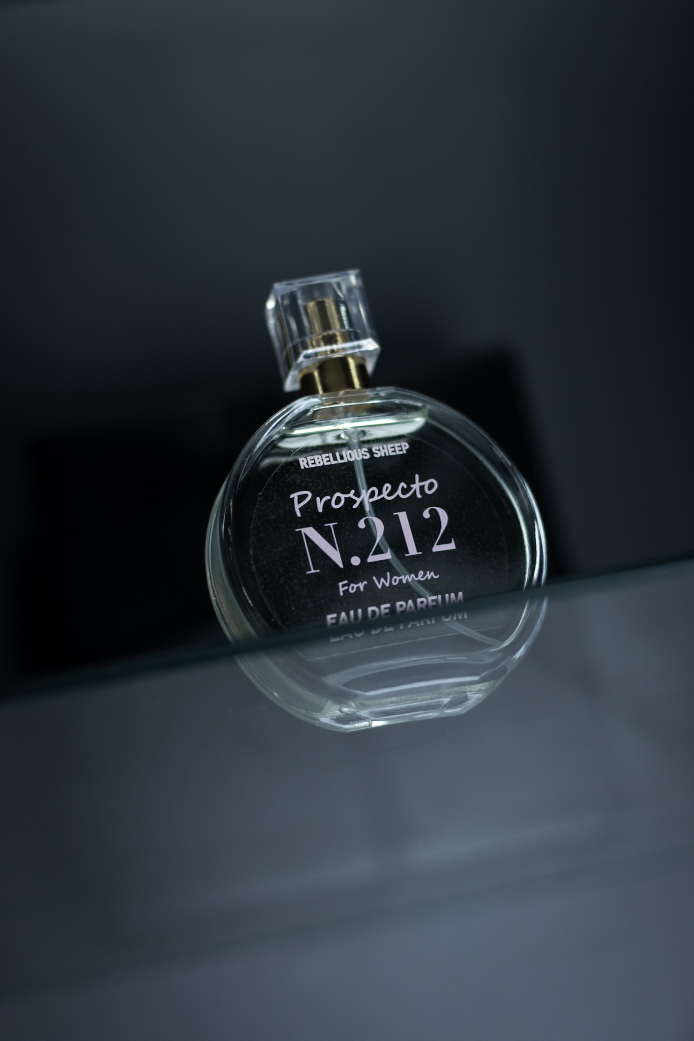 _MG_0004 Prospecto Nº212