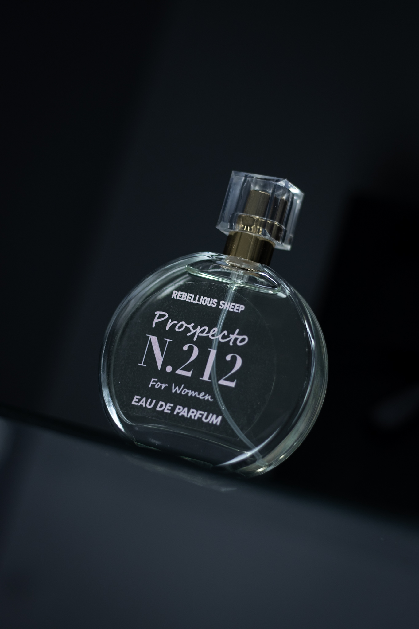 _MG_0005 Prospecto Nº212