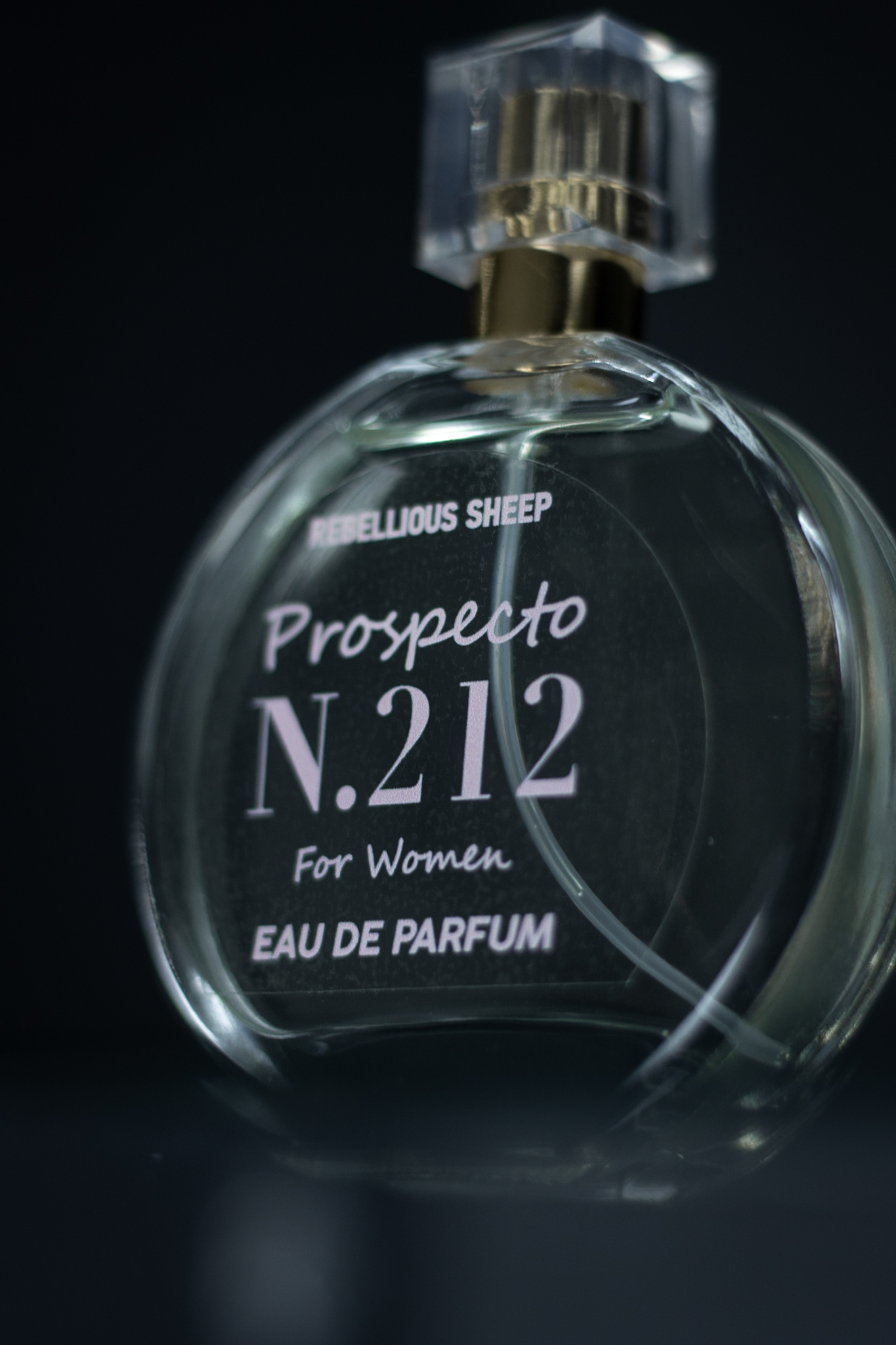 _MG_0006 Prospecto Nº212