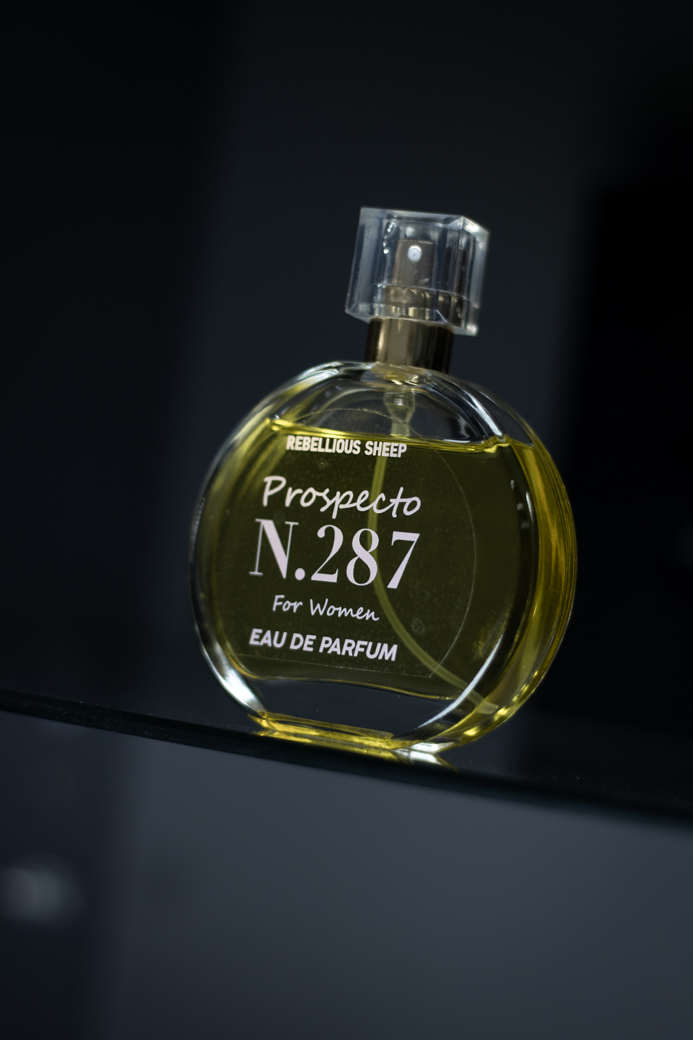 _MG_0014 Prospecto N°287