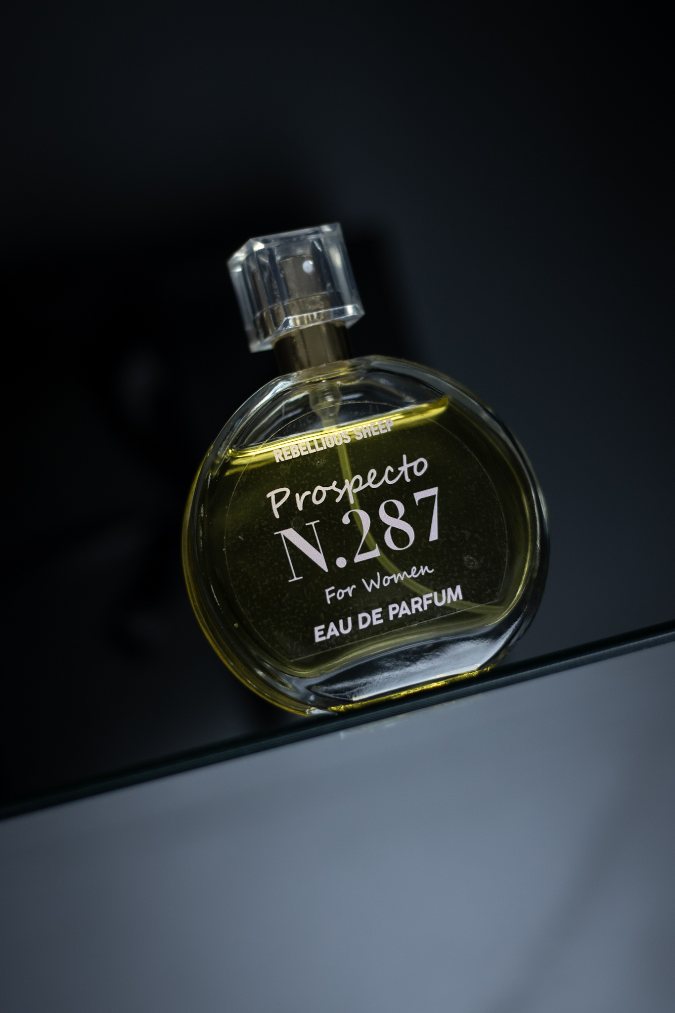 _MG_0015 Prospecto N°287