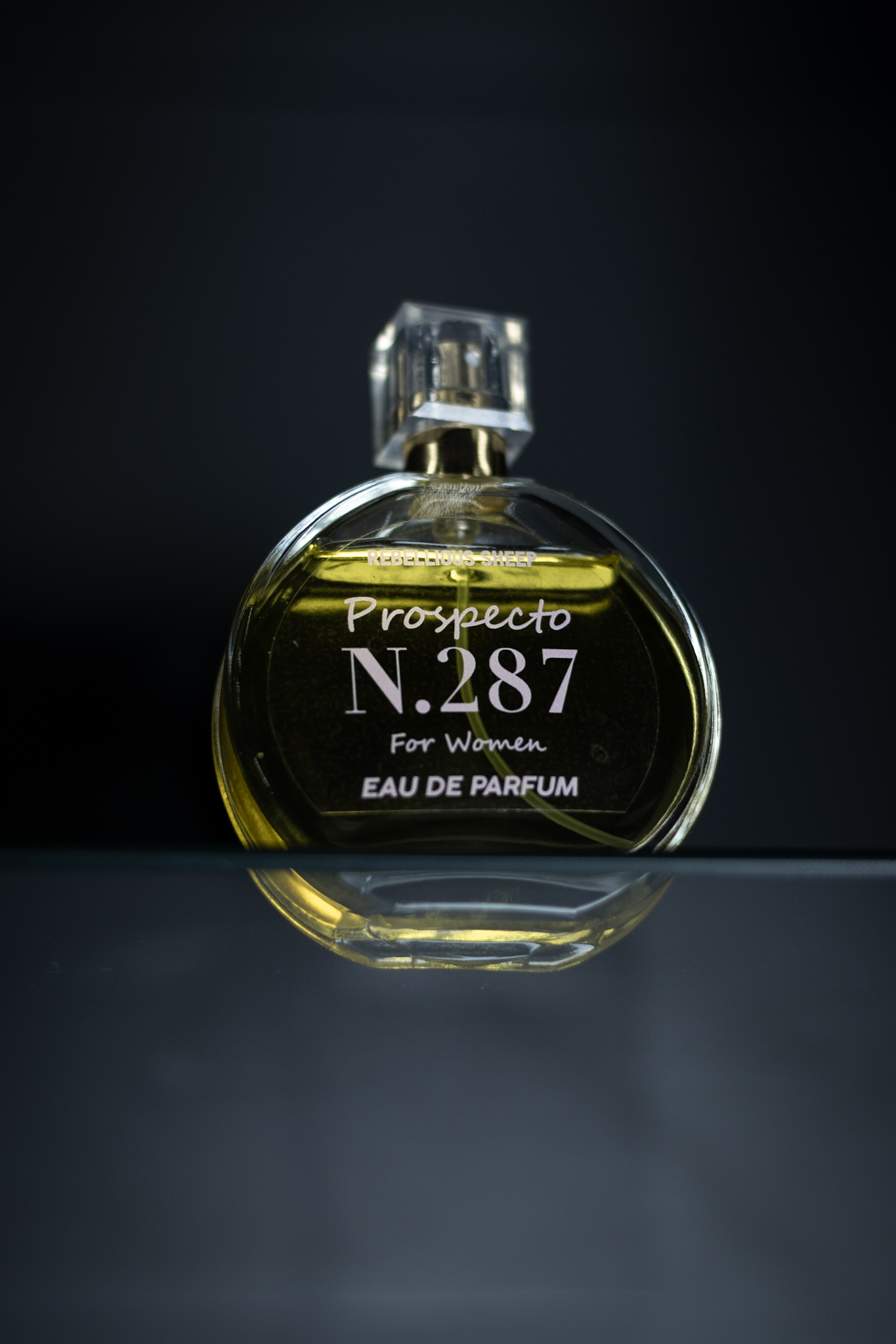 _MG_0016 Prospecto N°287