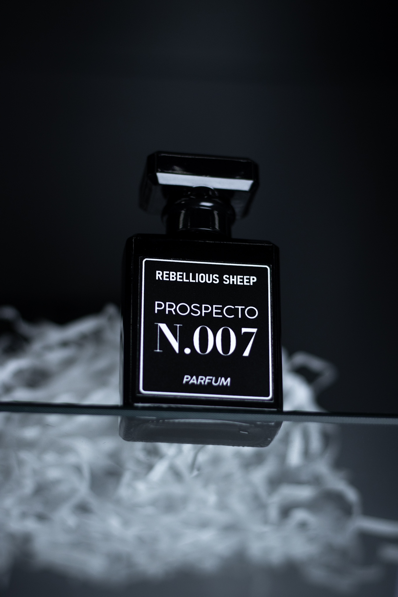 Prospecto N°007