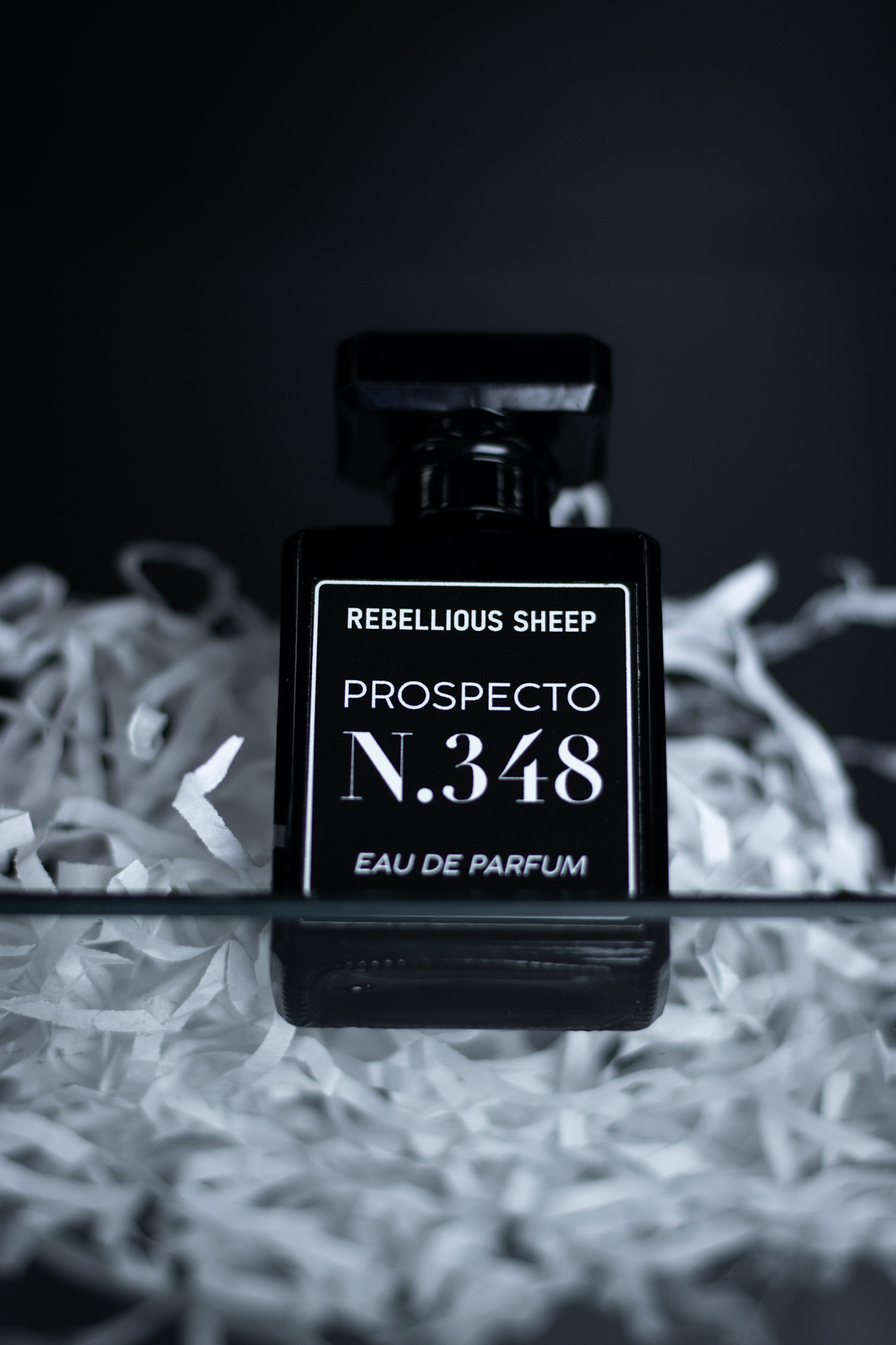 Prospecto Nº348