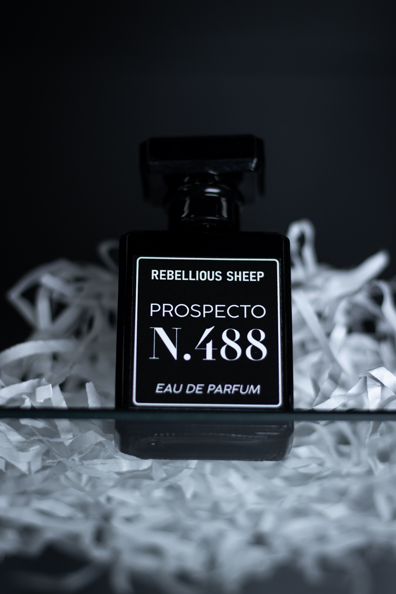 Prospecto Nº488